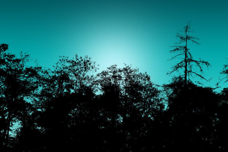 Silhouettes of trees stock image. Image of turquoise 129744989