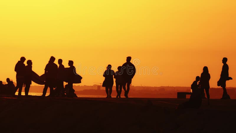 Black silhouettes of youth holding surfing boards on the hill at sunset