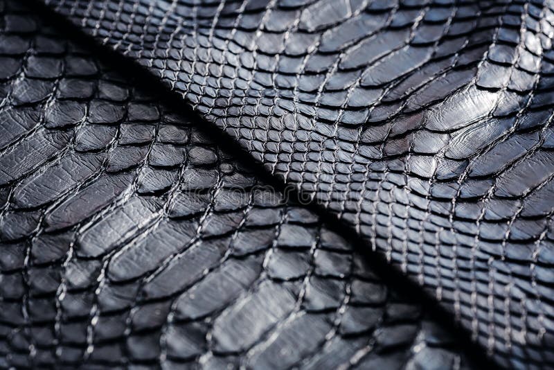 Black Snake Skin Pattern Texture Black Reptile Python Leather Background  Stock Photo by ©Kucheruk 341476272