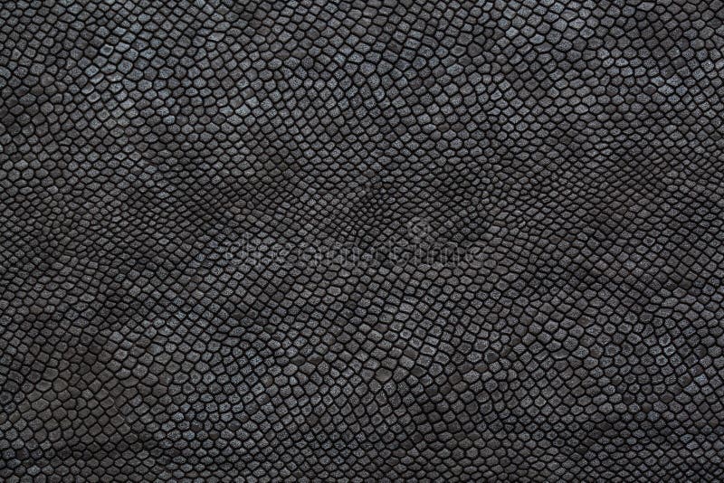 black mamba snake skin pattern