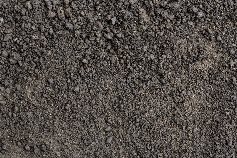 Background Or Texture Of Soil In Rural. Black Earth, Humus. Stock Image