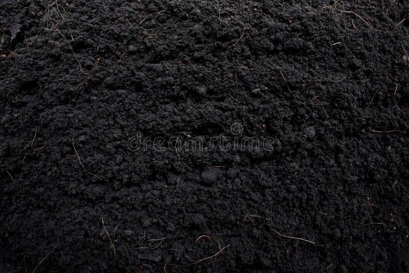 Black Soil Texture Background For Gardening Ideas Stock Photo Image