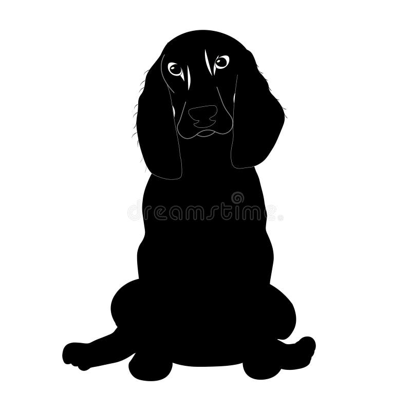 A Black Spaniel Dog Silhouette Stock Vector - Illustration of light,  wallpaper: 229522369