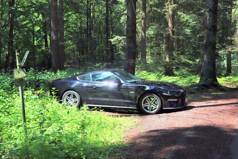 Black sports car in front of northern german landscape on a sunny summer day royalty free stock photo Black sports car in front of northern german landscape on a sunny summer day royalty free stock photo