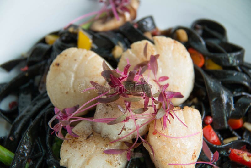 Black Squid Ink Pasta is Paired with Scallops Stock Photo Image of
