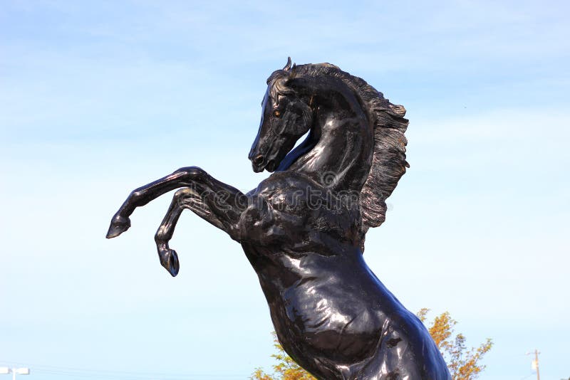 Black Stallion Horse Statue Stock Photo Image of stallion, bronze 51516488