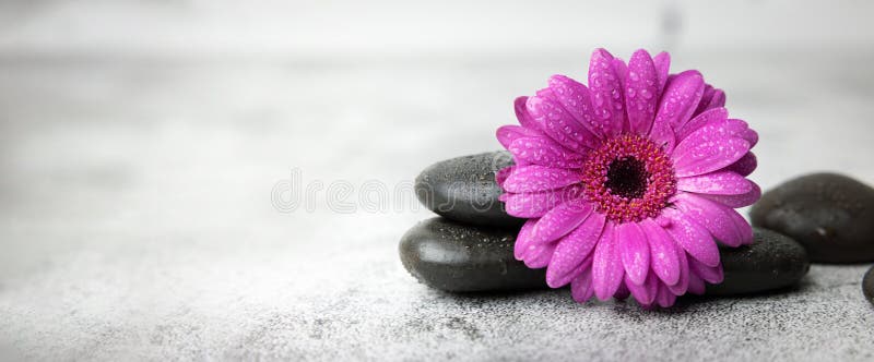 Black stones and purple flower on white marble background. beauty treatment concept. banner copy space