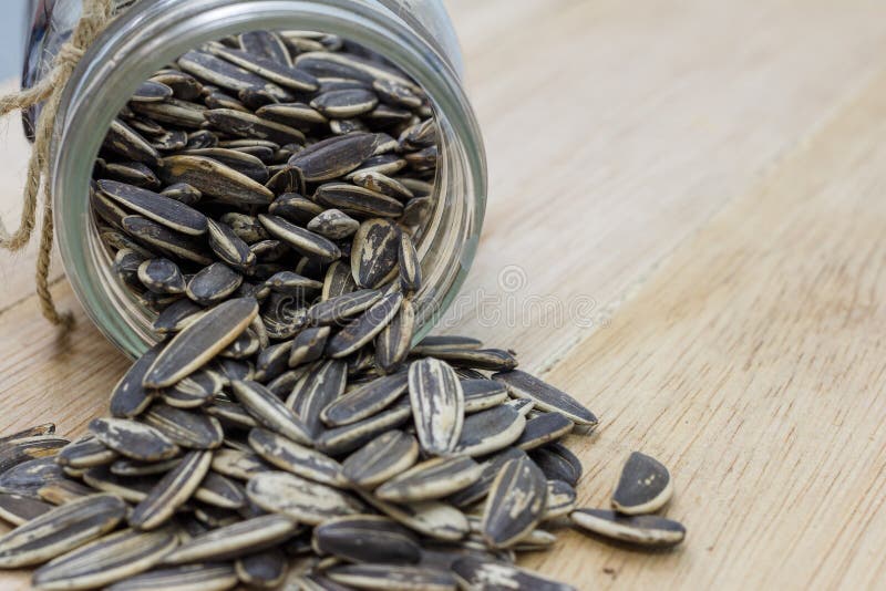 Black Sunflower Seeds Helianthus Annuus. Stock Photo Image of