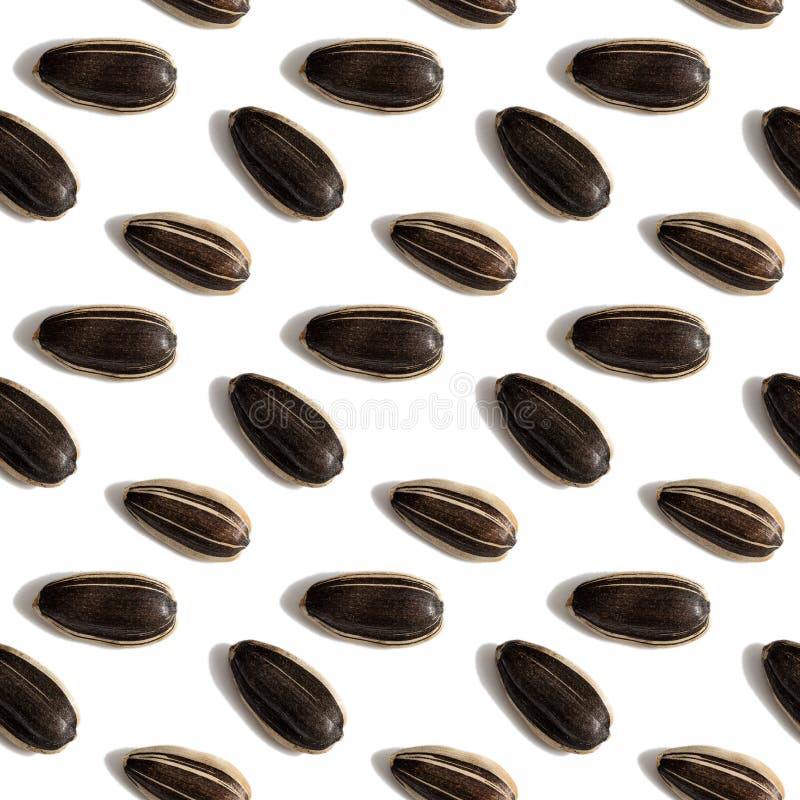 Black Sunflower Seeds Isolated on White Background. Raw Whole Grains