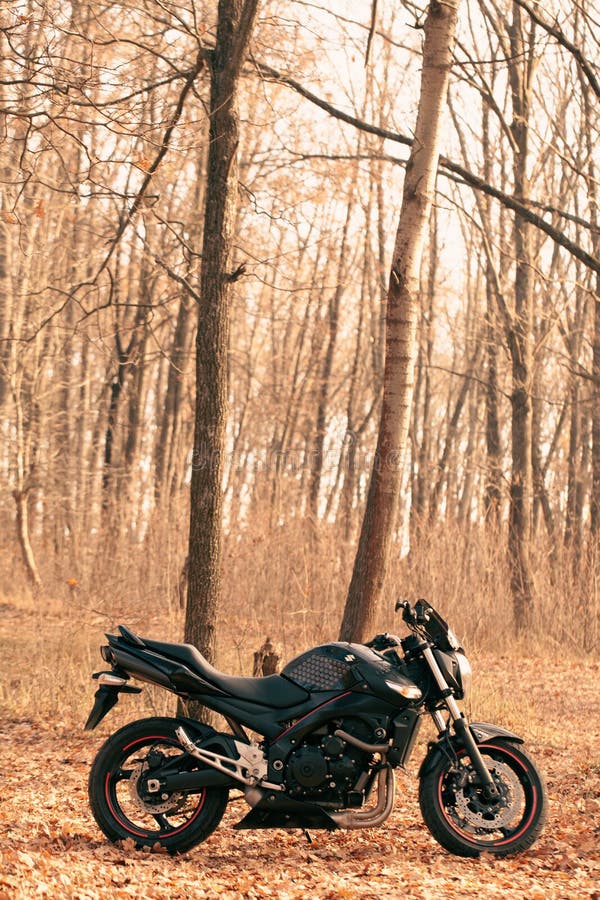 Gsr600 Motorcycle Stock Photos - Free & Royalty-Free Stock Photos from  Dreamstime