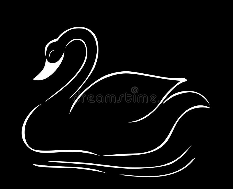 Black swan royalty free illustration Black swan royalty free illustration
