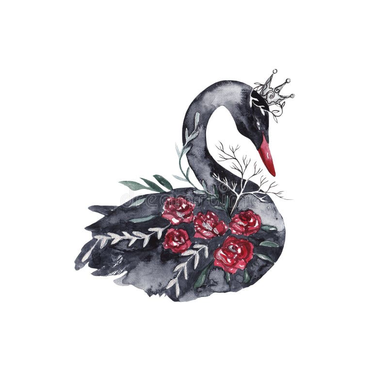 Black Swan Crown Tattoo Design Stock Illustrations – 28 Black Swan Crown  Tattoo Design Stock Illustrations, Vectors & Clipart - Dreamstime