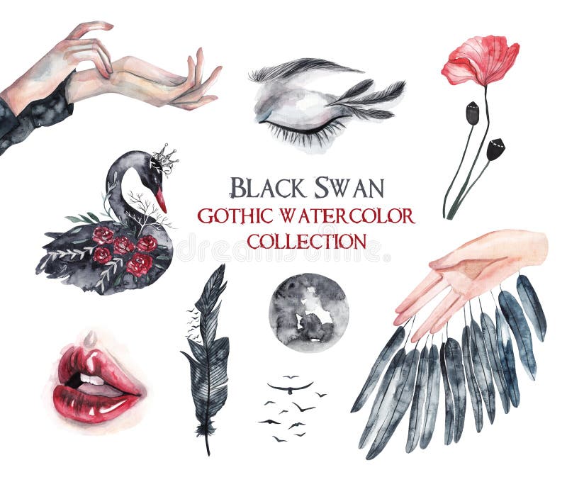 Black Swan watercolor collection. Gothic hand drawn illustrations on white isolated background