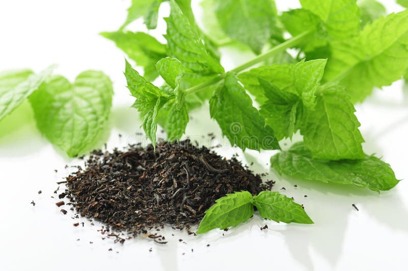 Black tea royalty free stock image