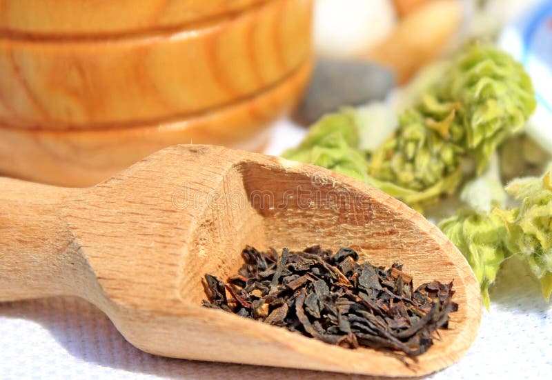 Black tea stock image. Image of green, herb, culture 19603213