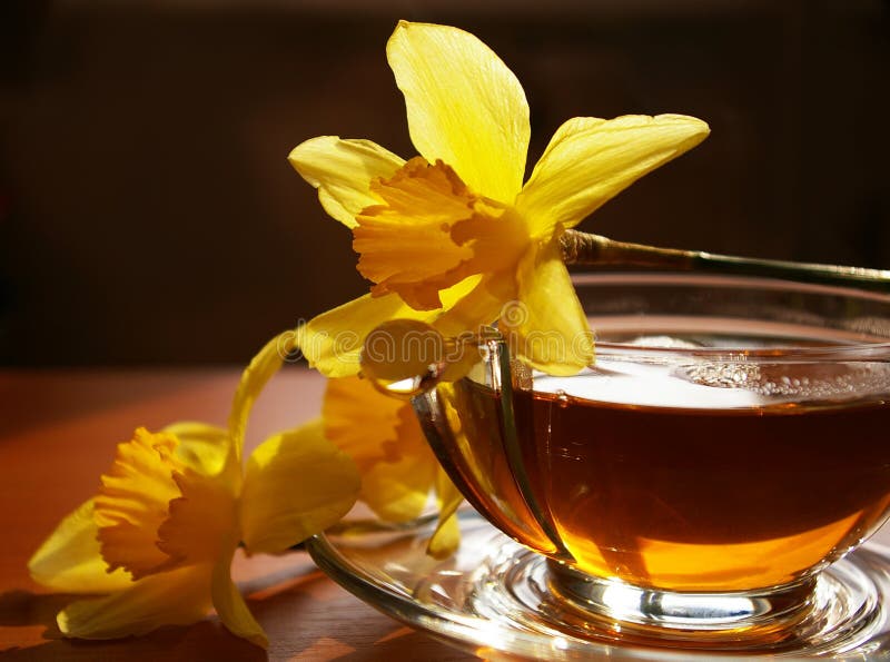 Black tea and flowers narcissuses