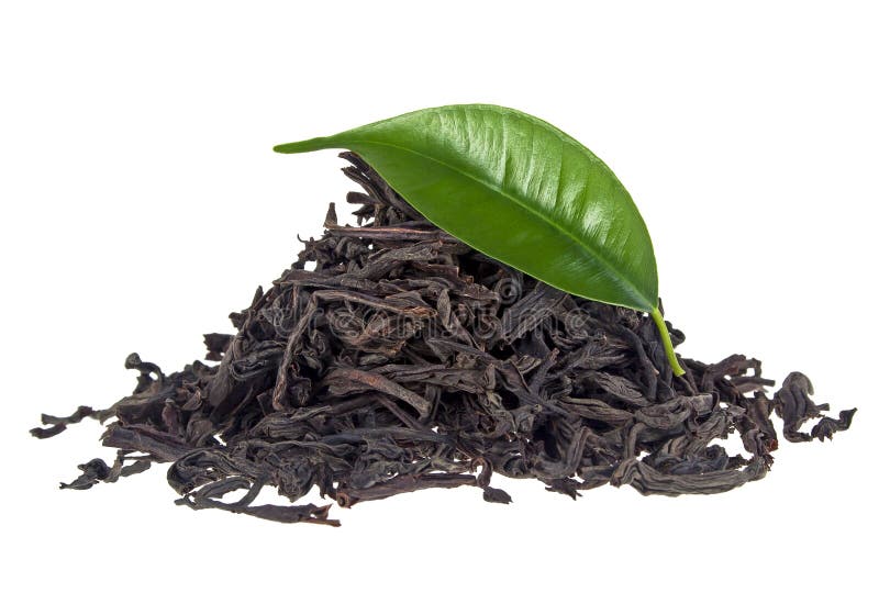 Black Tea with Leaf Isolated on a White Background Stock Image Image