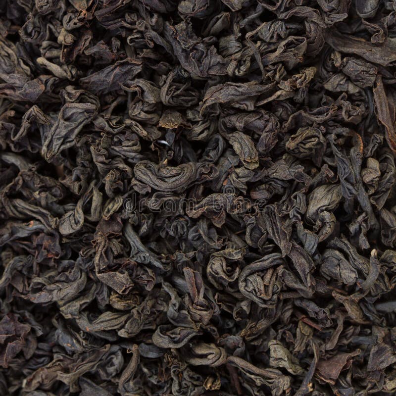Black Tea Leaves Background Stock Photo Image of brew, india 30762454