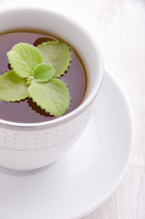 Black Tea with Mint. Highest Class Tea. Stock Photo Image of liquid