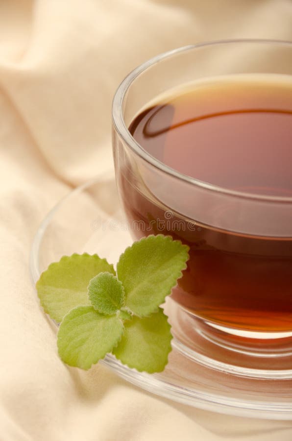 Black Tea with Mint. Relaxing Atmosphere. Stock Image Image of glass
