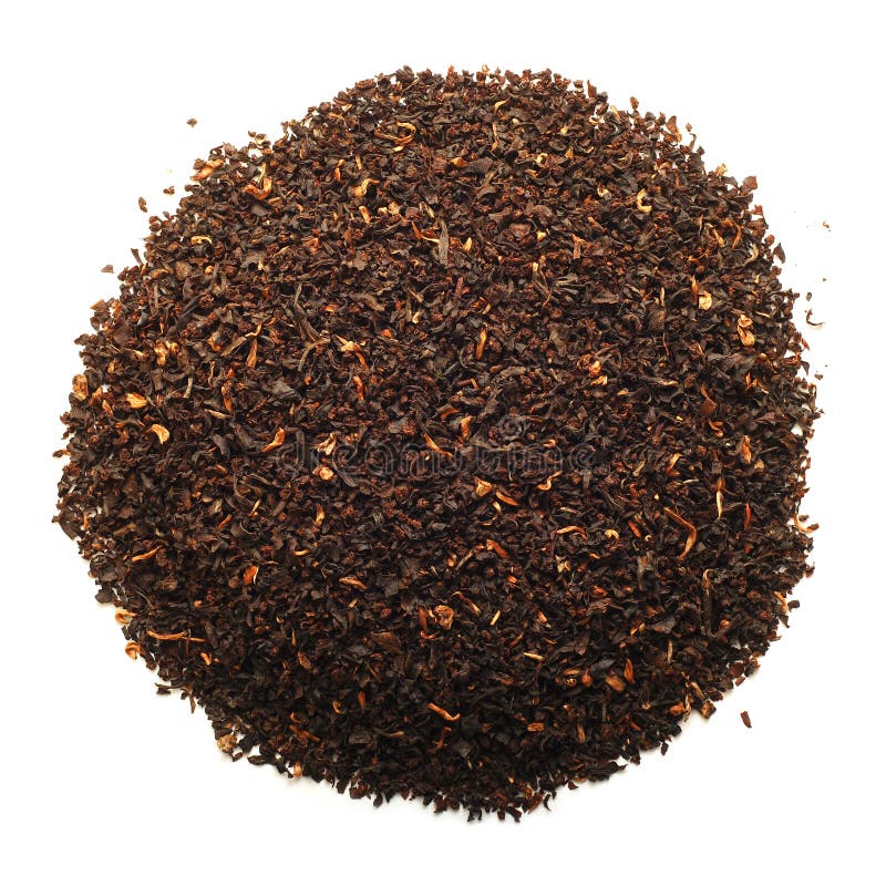 Black tea plants stock image. Image of medication, chinese 11348865