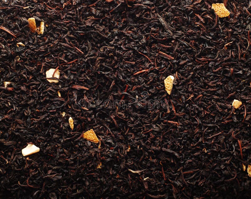 Black tea plants stock image. Image of diet, indian, isolated 11316363