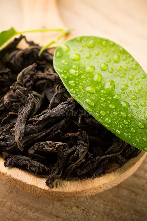 Black tea. stock photography