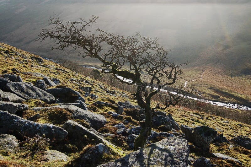 Black Tor Dartmoor