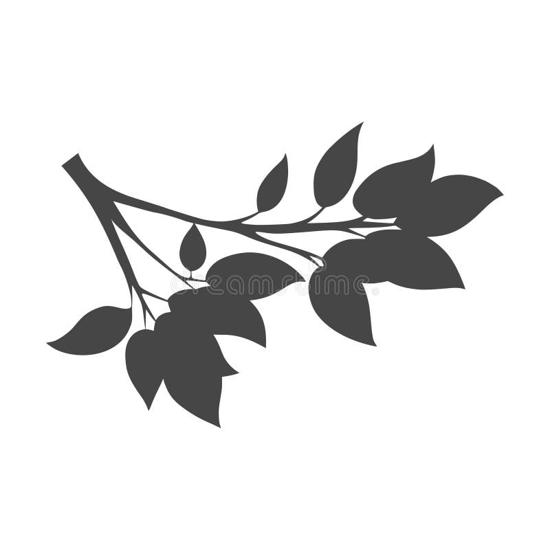 Tree Branch Without Leaves Silhouettes Set Isolated On White C