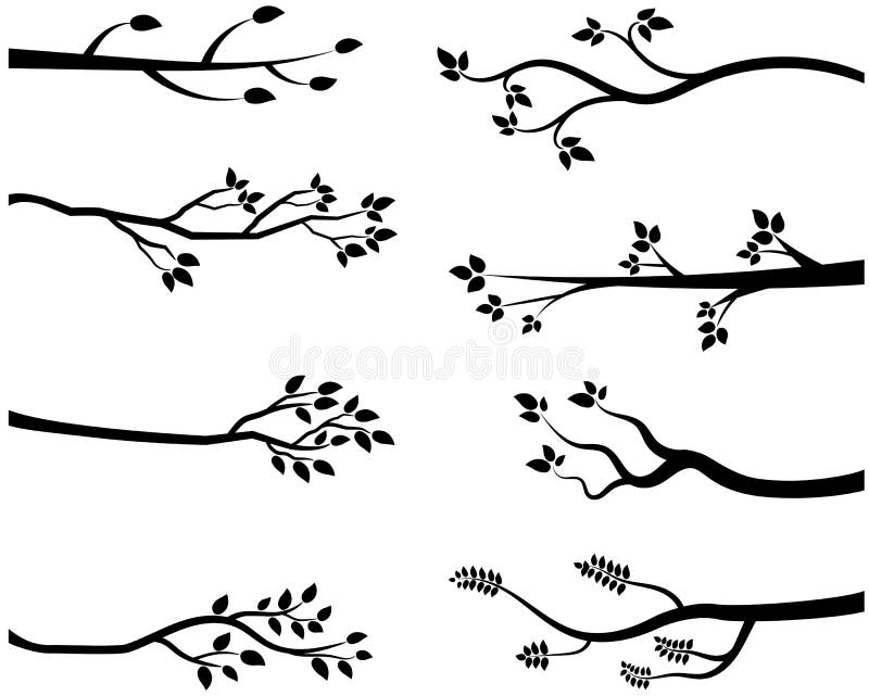 Black tree branch silhouettes