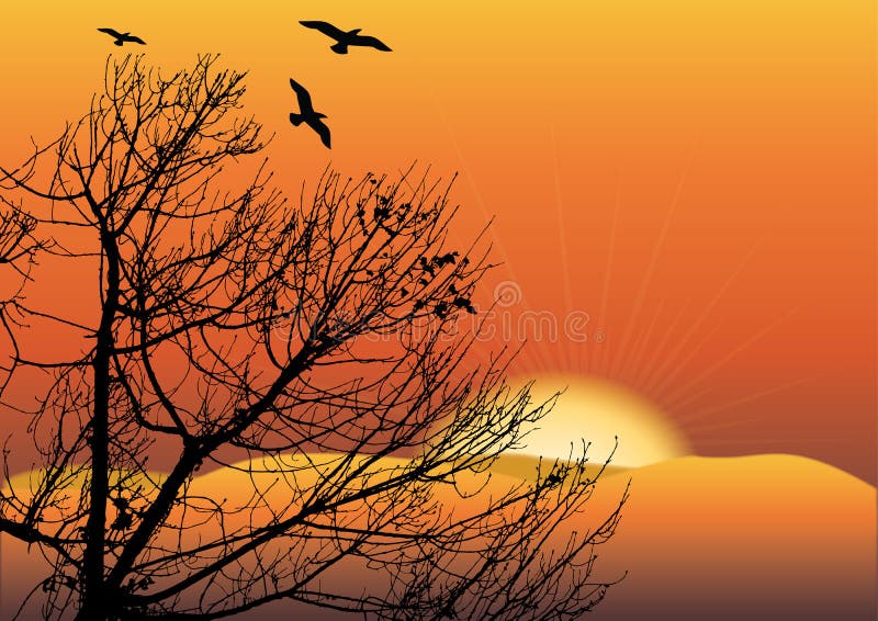 Black tree in sunset with birds flying above