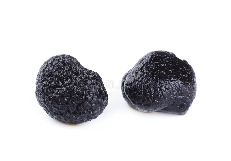 Mushroom black truffle stock image. Image of nature, black 34505781