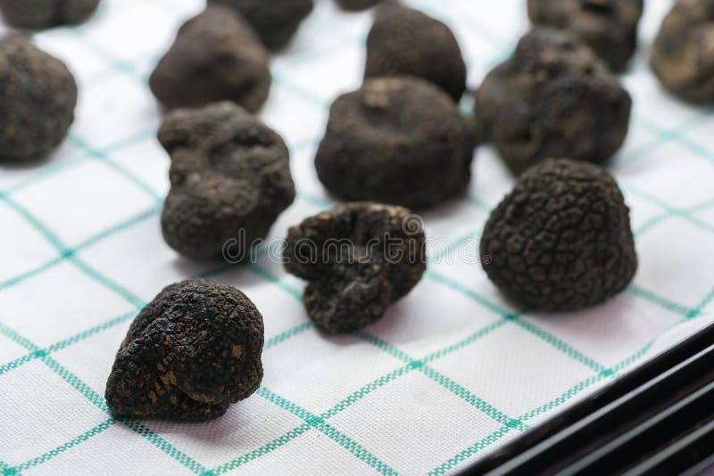 Black truffle mushroom stock image. Image of cooking 88290923