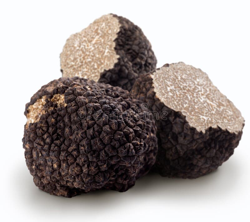 Black Truffle Market in Italy Stock Image Image of food, basket 16318879