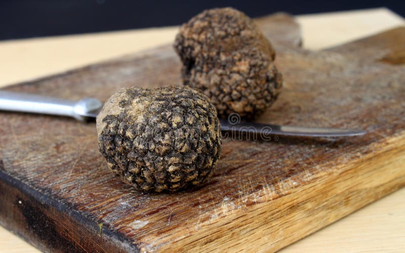 Black truffles