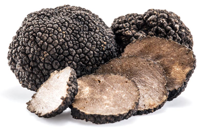 Black Truffles Isolated On A White Background. Stock Photo Image of