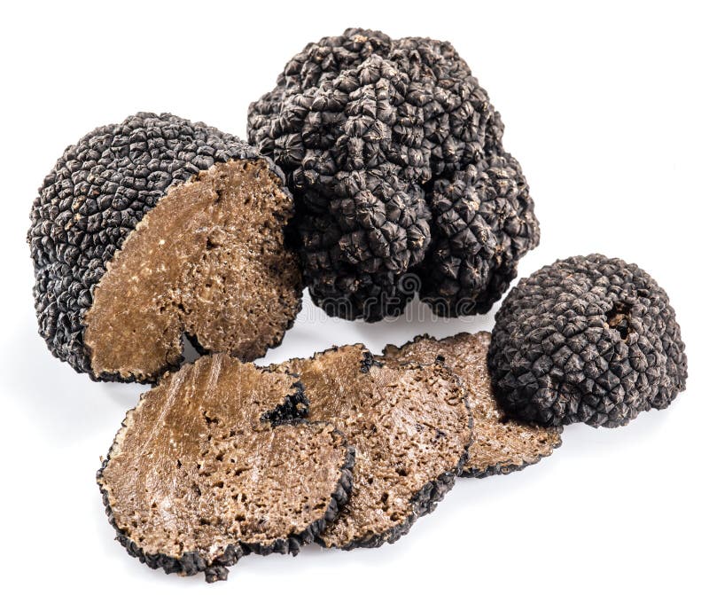 Black Truffles Isolated on a White Background Stock Photo Image of