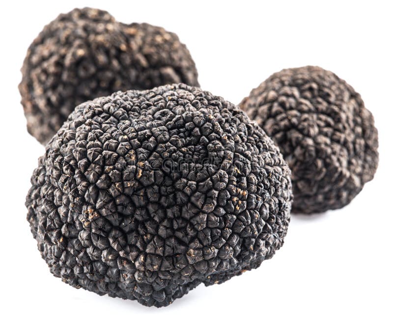 Black Truffles Isolated On A White Background. Stock Image - Image of ...
