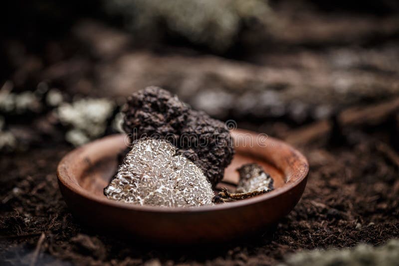 Black truffles slices stock image. Image of food, fresh 76828235