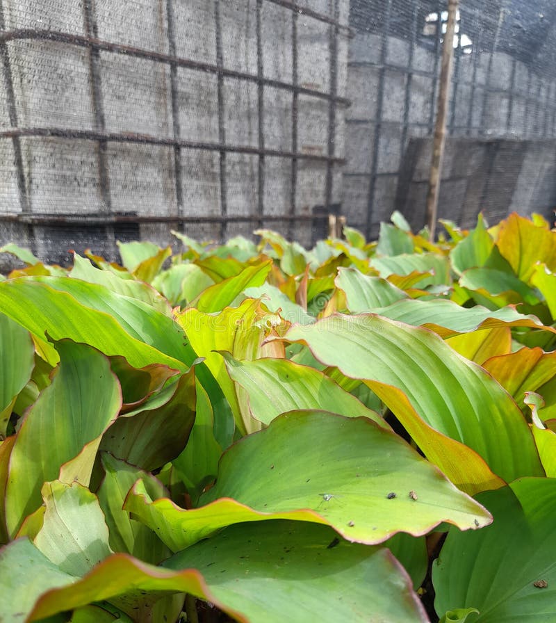 Afternoon Shift Photos Free & RoyaltyFree Stock Photos from Dreamstime