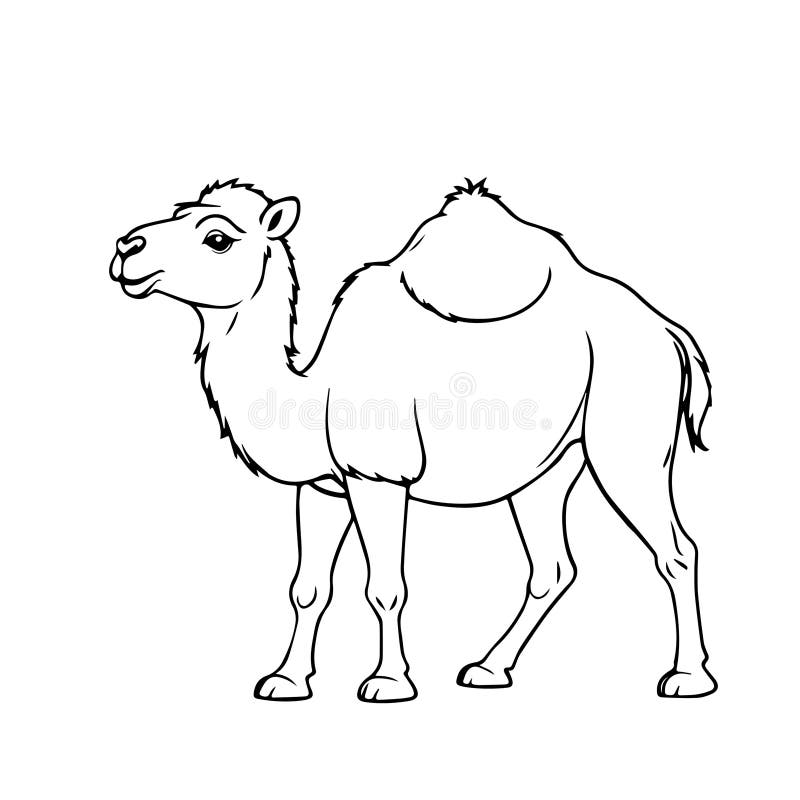 Black Vector fun camel smiling on a white background for coloring book for children royalty free illustration
