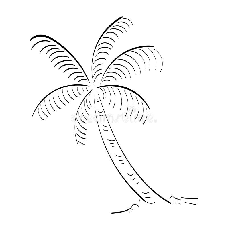 Black Vector Single Palm Tree Design Stock Vector Illustration of