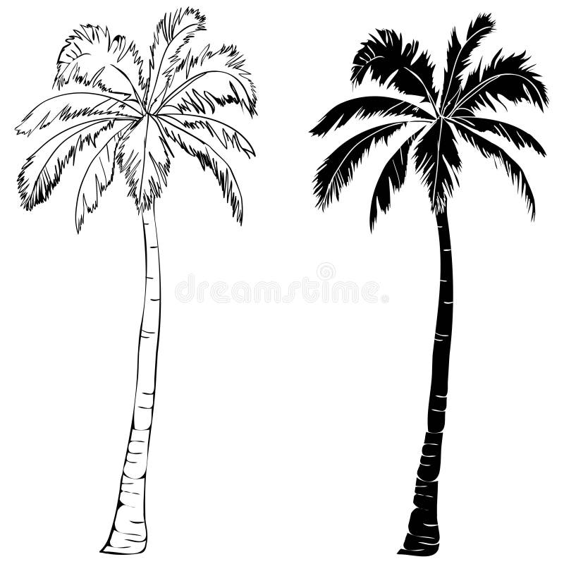 Palm Tree Stencil Stock Illustrations – 856 Palm Tree Stencil Stock ...