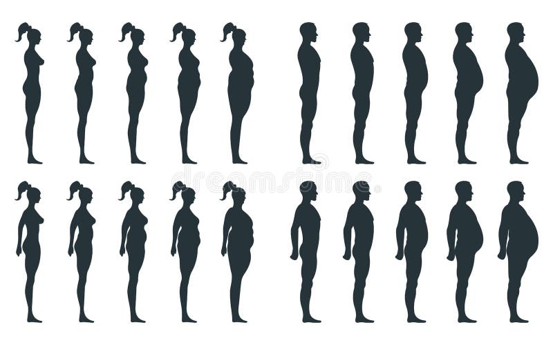 Black View Side Body Silhouette, Fat Extra Weight Male Anatomy Human ...