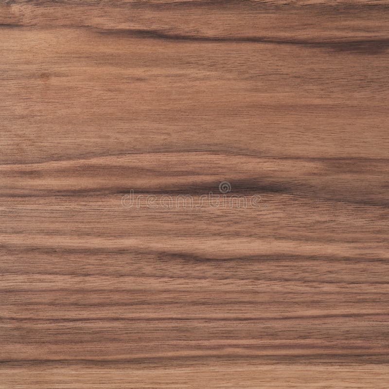 Black Walnut Wood Texture with Oil Finish Stock Image Image of walnut