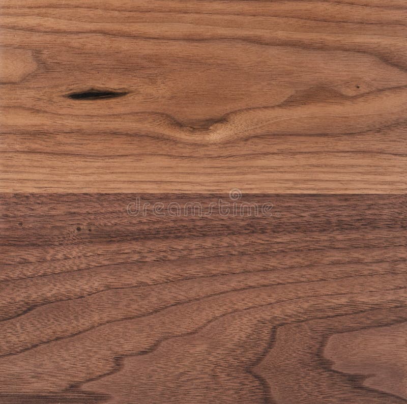 Black Walnut Wood Texture from Two Boards Oil Finished Stock Image Image of american, pattern