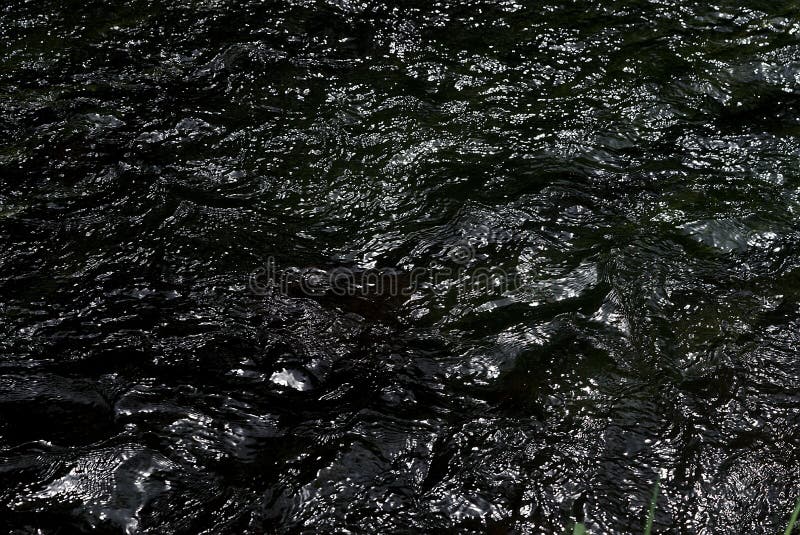 Black water surface like oil stock photos Black water surface like oil stock photos
