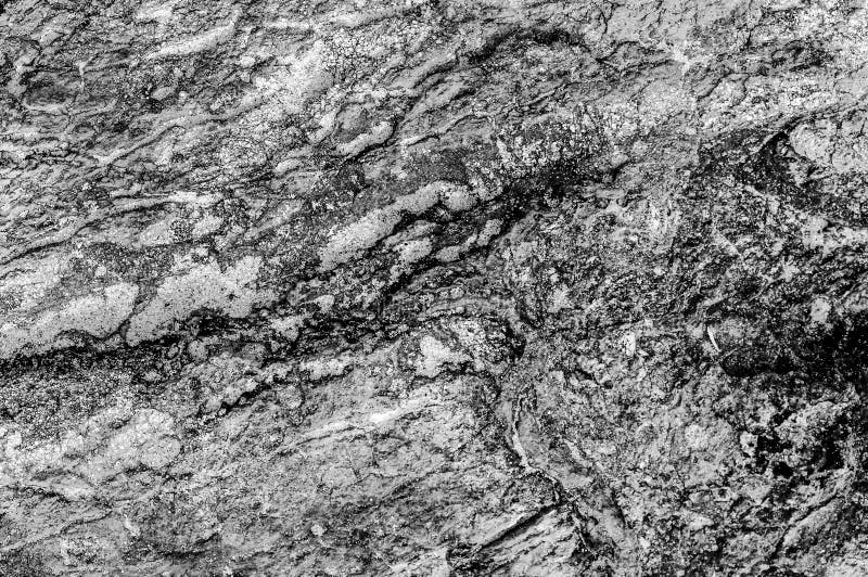 Black and White Abstract Texture of Sea Stone Texture Stock Image ...