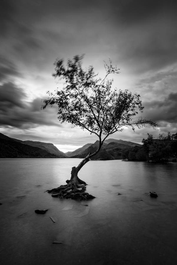 Black and White Beautiful Landscape Image of Llyn Padarn at Sunrise in ...