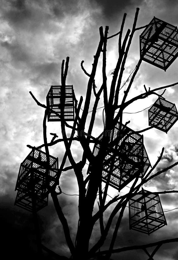 Black and white Bird cage stock image. Image of leaf 39652141
